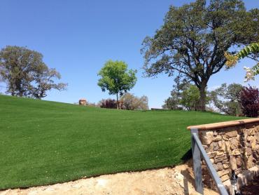 Artificial Grass Photos: Synthetic Pet Grass Castaic California Back and Front Yard